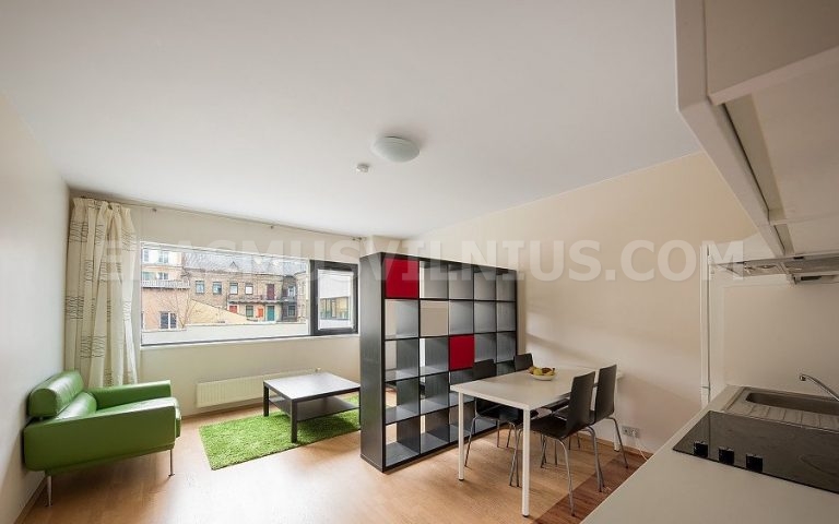 Cucina completamente attrezzata con forno, piano cottura e lavastoviglie nell'appartamento Erasmus, Mindaugo gatvė Vilnius