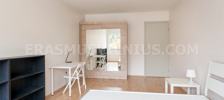 Spaziosa camera da 21 m² con letto king size nell'Appartamento Erasmus Vilnius 2, Mindaugo gatvė