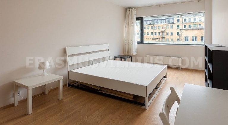 Appartamento 2, Mindaugo gatvė — appartamento 2 camere per studenti a Vilnius, affittato