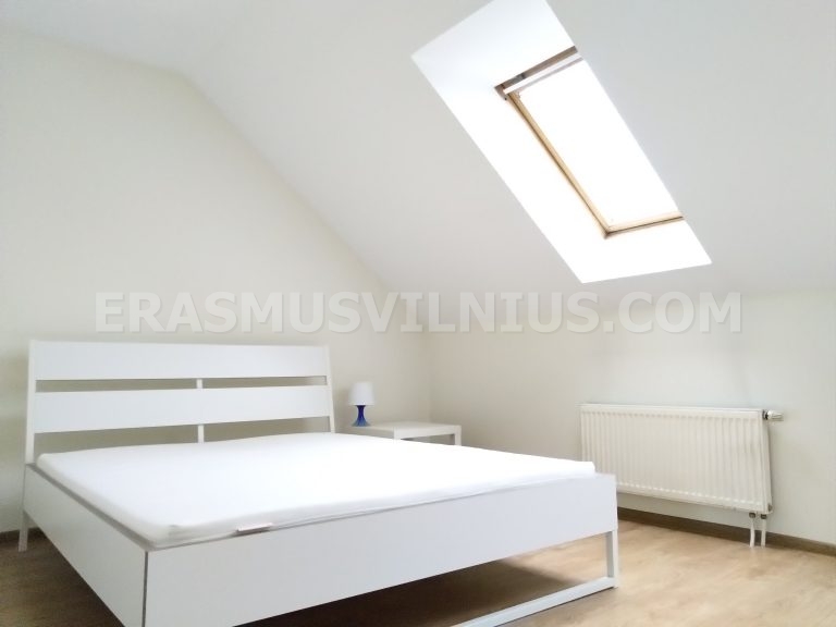 Cucina con forno, piano cottura e piano di lavoro nell'alloggio per studenti a Vilnius