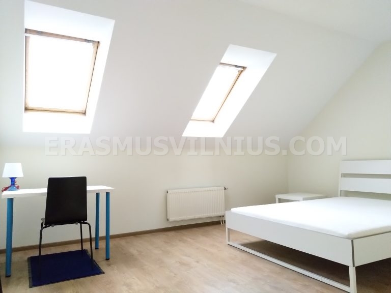 Panoramica secondo bagno — doccia e lavandino nell'appartamento Erasmus