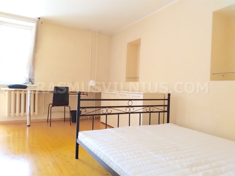 Interno della stanza con tappeto e lampada nell'appartamento Erasmus, Kauno gatvė