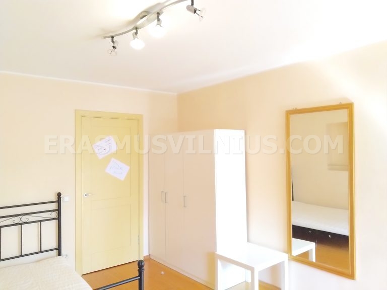 Lavastoviglie e vani cucina nell'Appartamento 1, Kauno gatvė